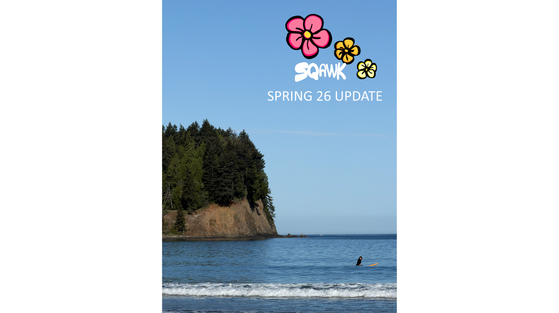2026 Spring Collection Update