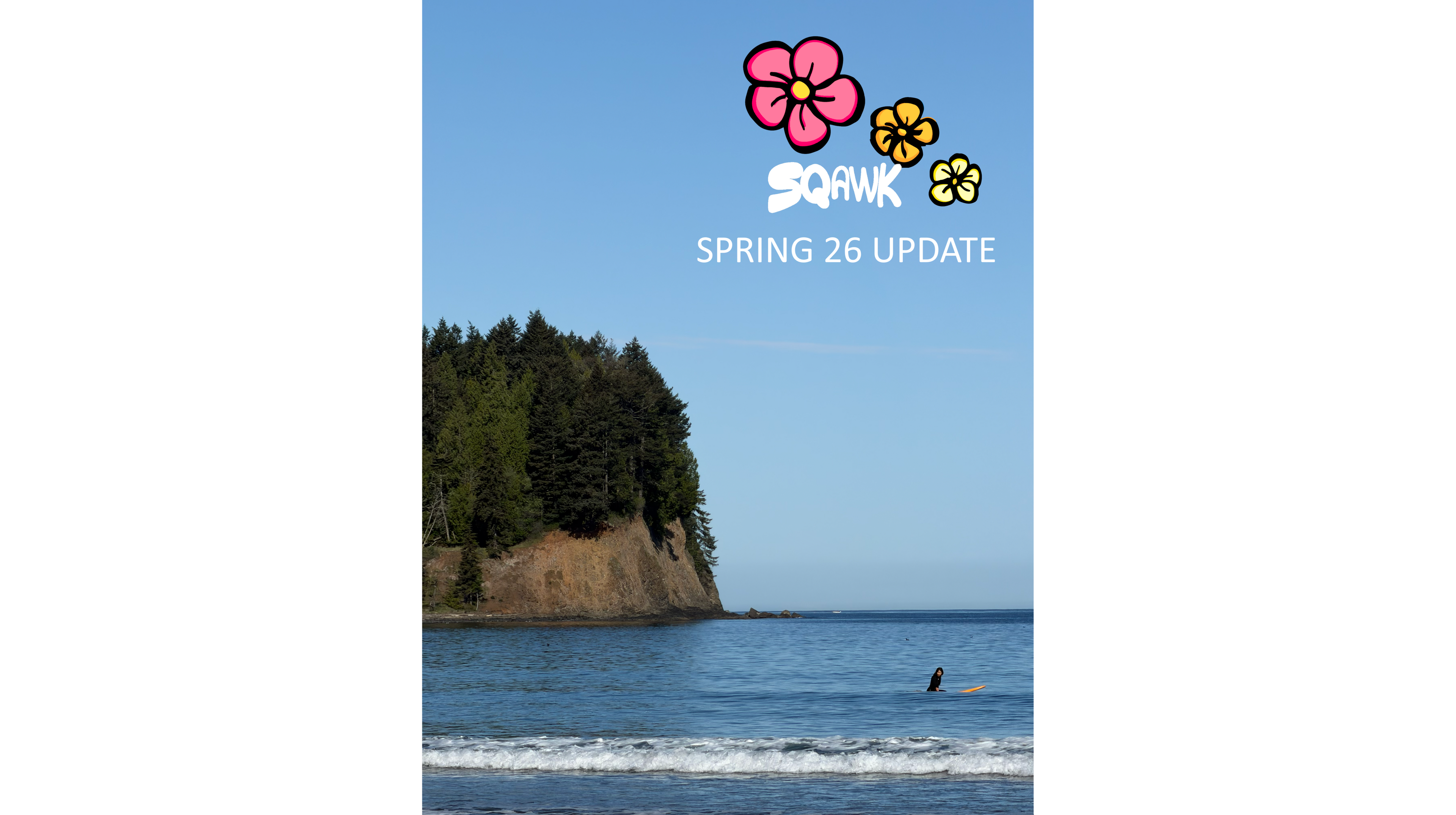 2026 Spring Collection Update